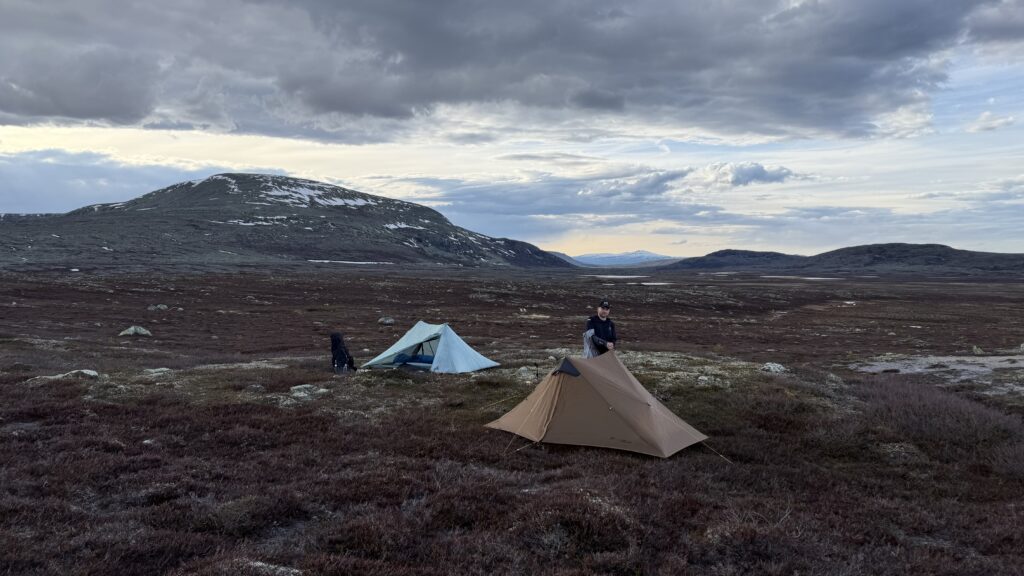 fjallvandring-grovelsjon